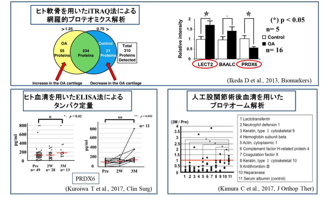 変形性関節症のバイオマーカーの同定